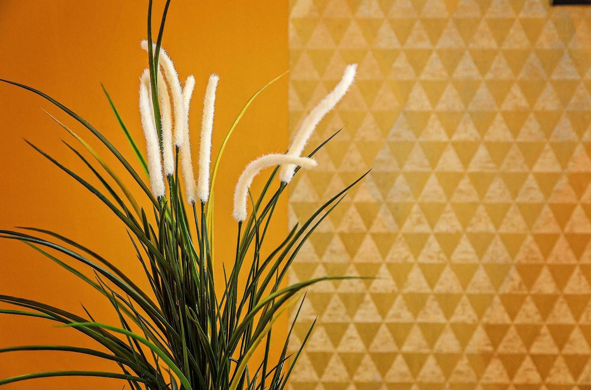 Sweett - Dali Apartment Gracia Barselona Dış mekan fotoğraf